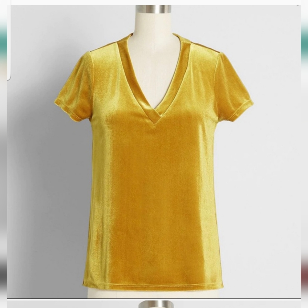 Velvet V-Neck Top
